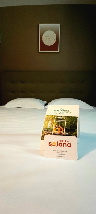 Hôtel Solana  11