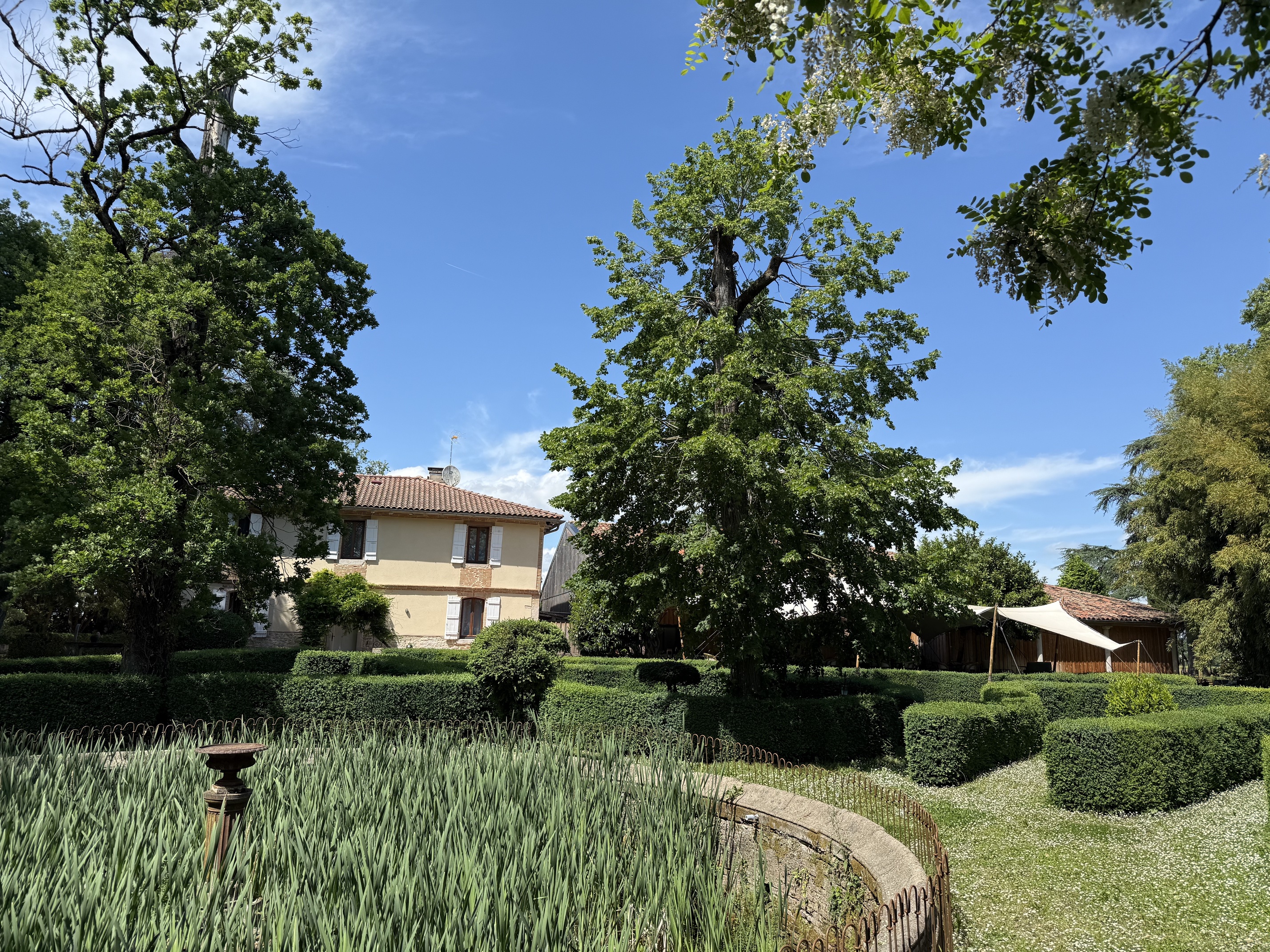 jardin
