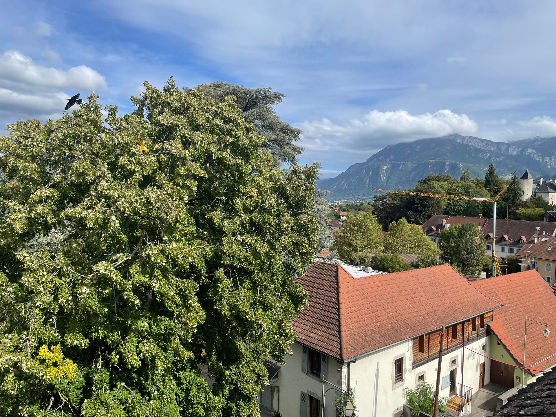 Vue de la chambre / View from the room