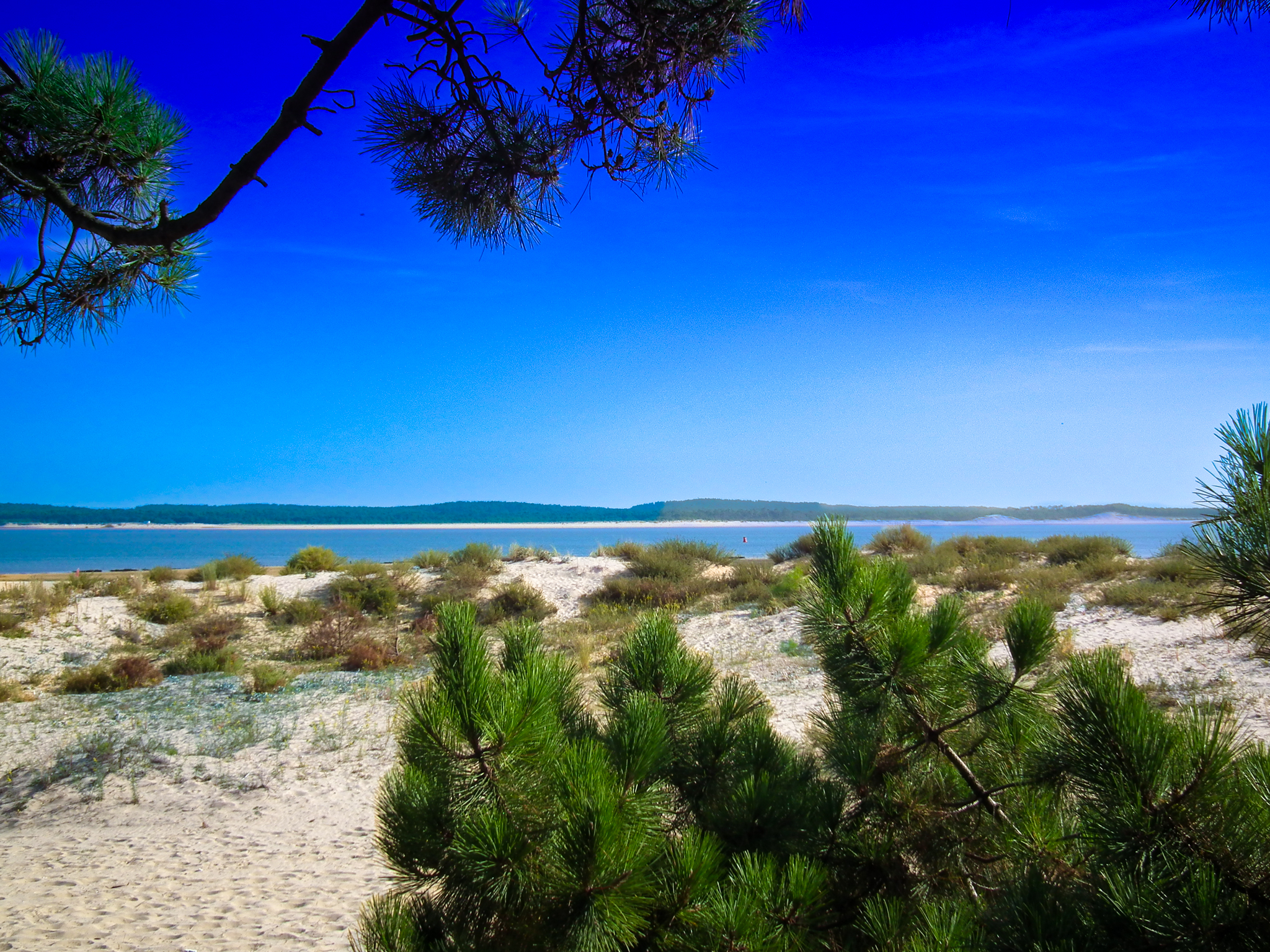 Discrète, sachez la découvrir,  un petit coin de paradis